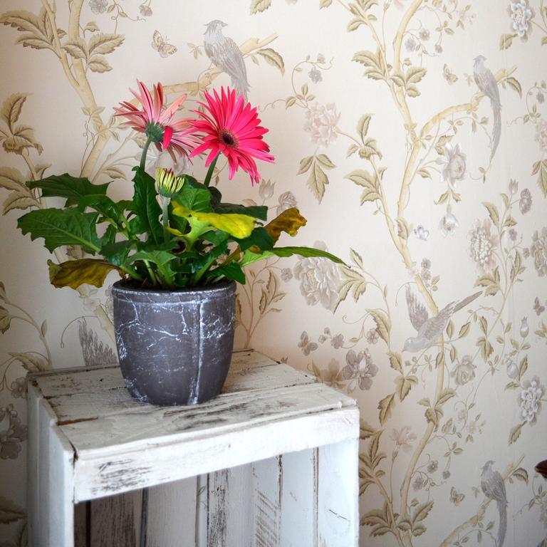 La Casa Del Duca Bed and Breakfast Milano Værelse billede